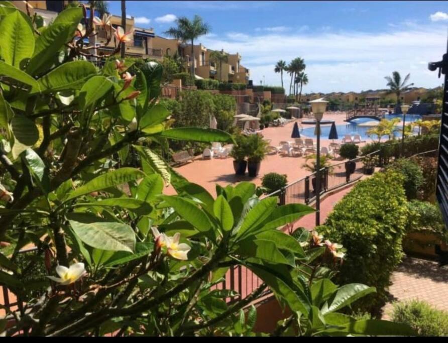 Appartement En Meloneras Maspalomas (Gran Canaria)
